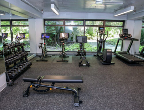 Unveiling the Top 5 Commercial Fitness Equipment Brands Revolutionizing the Industry